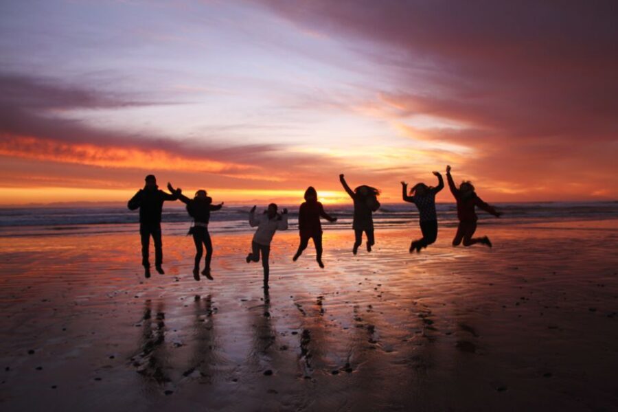 Tasmania: Wilderness and Wildlife Guided 6-Day Tour - A Detailed Look at the 6-Day Itinerary