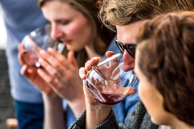 Tasmanian Premium Wine Tour with Tasmanian Cheese Platter - An Honest Look at the Tasmanian Premium Wine Tour