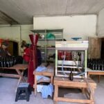 Taste and Tour Small Organic Wineries with a Winemaker - Authentic and Intimate Experiences