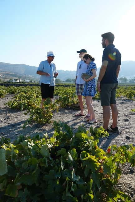 Taste & Create: Santorini Wine & Cooking Experience - A Closer Look at the Santorini Wine & Cooking Experience