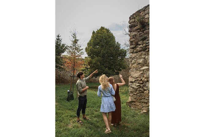 Taste Local Wines and Discover Pezinok - Who Will Enjoy This Tour?