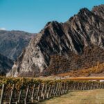 Taste of Gibbston private Wine Tour from Queenstown and return. - Final Thoughts