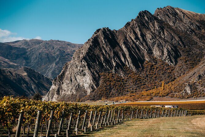 Taste of Gibbston private Wine Tour from Queenstown and return. - Final Thoughts