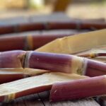 Taste of Hawaii: A Maui Farm Tour - Why This Tour Offers True Value