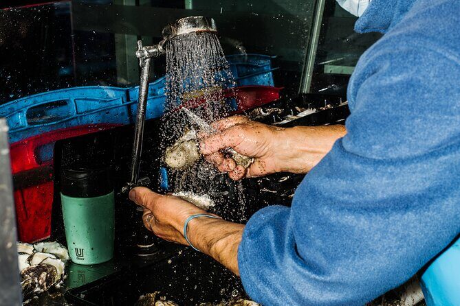 Taste of Sydney Fish Market Food Tour - An In-Depth Look at the Sydney Fish Market Food Tour