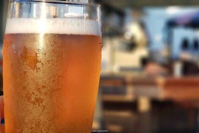 Taste the Best Scottish Ales: Rose Street Private Pub Tour - Who Will Love This Tour?