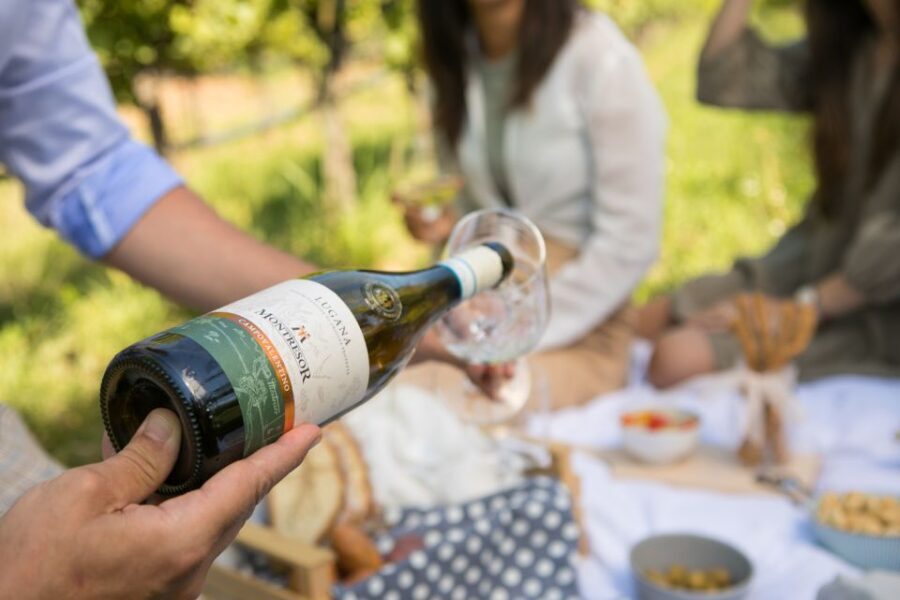 Taste with us Bardolino, Chiaretto and Lugana near Verona - Who Should Consider This Tour?