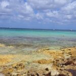 Tastes of Mexico Traditional Food Culture and Beach in Cozumel - FAQ