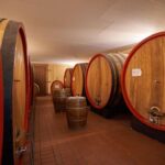 Tasting and Tour Vino Nobile di Montepulciano - A Deep Dive into the Experience: What to Expect