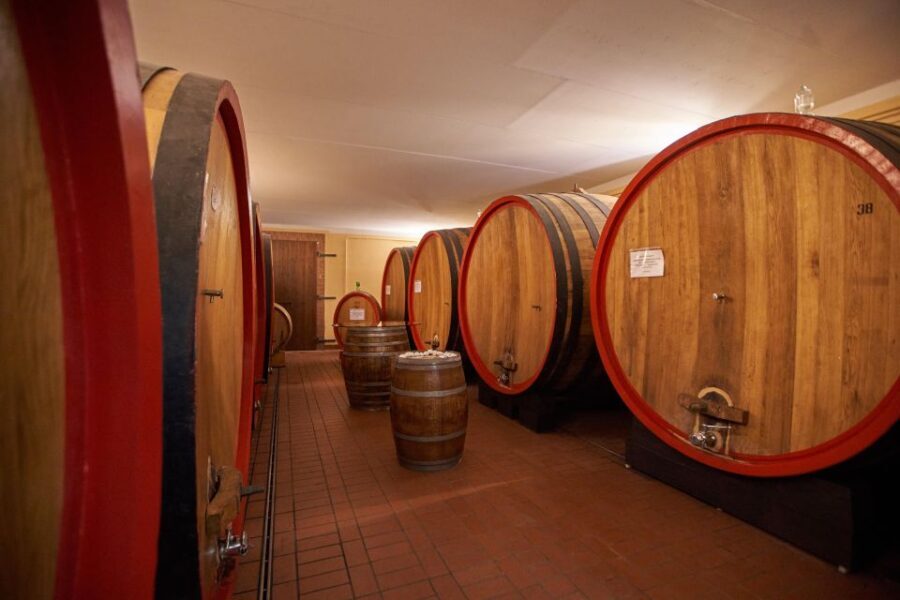 Tasting and Tour Vino Nobile di Montepulciano - A Deep Dive into the Experience: What to Expect