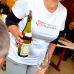 Tasting Chablis Domaine Clotilde Davenne in French - In-Depth Review of the Domaine Clotilde Davenne Tasting Experience