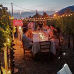 Tasting in a Tuscan Vineyard with transfer from Lucca - Exploring the Tour in Detail
