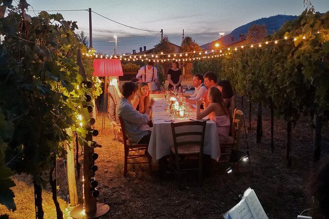 Tasting in a Tuscan Vineyard with transfer from Lucca - Exploring the Tour in Detail
