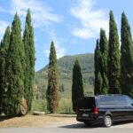 Tasting in a Tuscan Vineyard with transfer from Pisa - Why It Offers Great Value