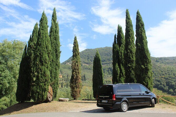 Tasting in a Tuscan Vineyard with transfer from Pisa - Why It Offers Great Value