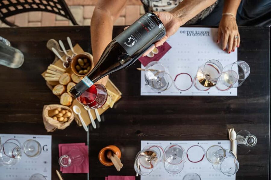 Tasting in the cellar, Caprino Veronese, Pesina - The Experience—What We Thought