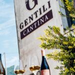 Tasting in the cellar, in Caprino Veronese, Pesina. - Who Should Consider This Tour