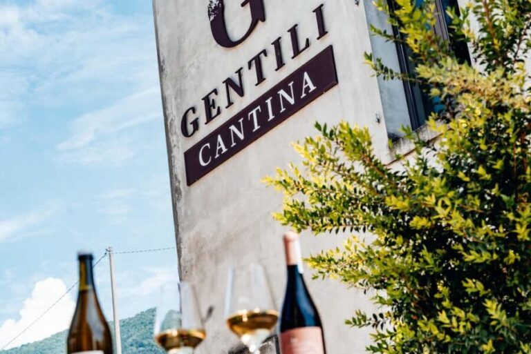 Tasting in the cellar, in Caprino Veronese, Pesina. - Who Should Consider This Tour