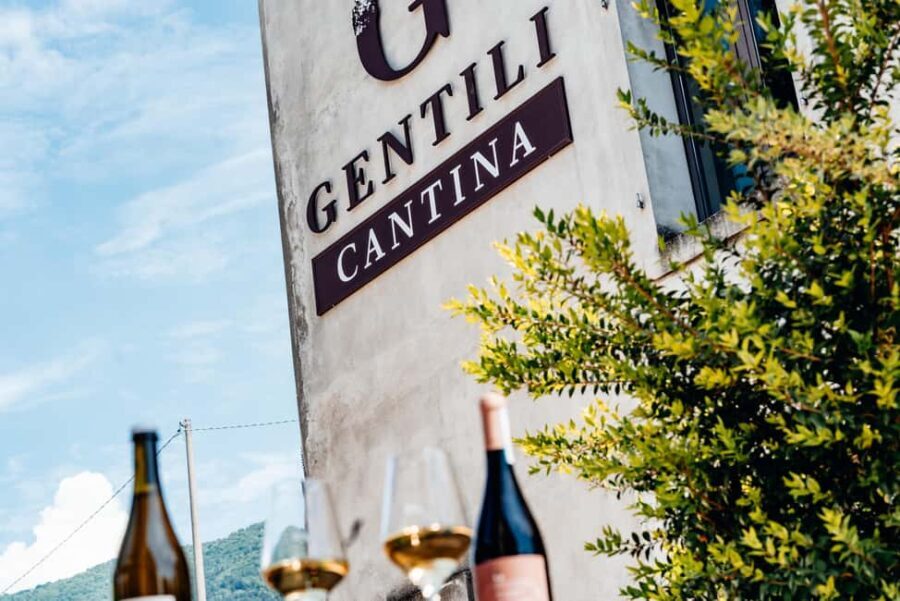 Tasting in the cellar, in Caprino Veronese, Pesina. - Who Should Consider This Tour