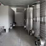 Tasting in the Colli di Luni - An In-Depth Look at the Experience
