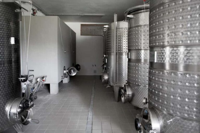 Tasting in the Colli di Luni - An In-Depth Look at the Experience