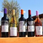 Tasting of 5 wines and tour at the winery Rondo del Valle - What Makes This Tour Stand Out