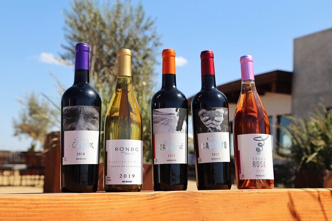 Tasting of 5 wines and tour at the winery Rondo del Valle - What Makes This Tour Stand Out
