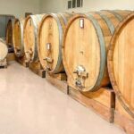 Tasting of 7 wines in the Langhe and visit to the cellar - Who Will Love This Tour?