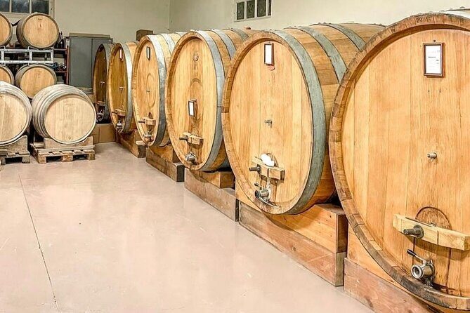 Tasting of 7 wines in the Langhe and visit to the cellar - Who Will Love This Tour?