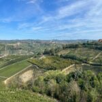 Tasting of Classic Method Sparkling Wines - The Sum Up