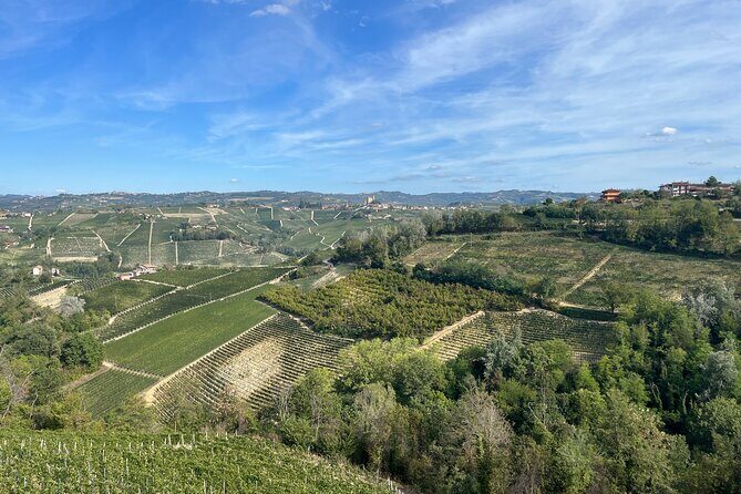 Tasting of Classic Method Sparkling Wines - The Sum Up