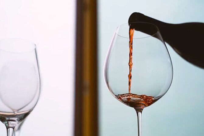 Tasting of Organic Mountain Wines with Vineyard and Cellar Tour - Authentic Reviews from Fellow Travelers