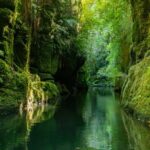 Tauranga Daytime Scenic Lake McLaren Tour - Who Will Love This Tour?