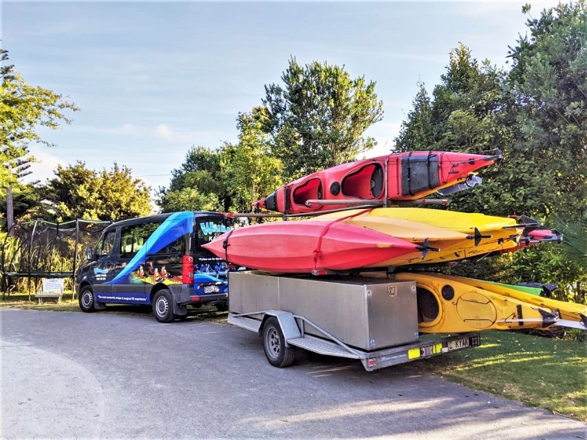 Tauranga: Evening Glowworm Kayak Tour - Authentic Reviews from Travelers