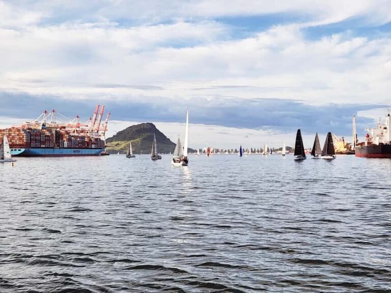 Tauranga Harbour Cruise - Analyzing the Value