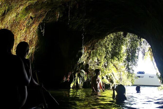 Tauranga Port - Pure Cruise Rotoiti Lake, Glowworms & Hells Gate - FAQs