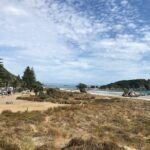 Tauranga Shore Excursion: History & Kiwifruit Tasting  4 Hours - Authentic Experiences and Authenticity in Focus