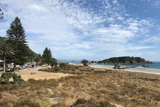 Tauranga Shore Excursion: History & Kiwifruit Tasting  4 Hours - Authentic Experiences and Authenticity in Focus