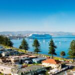 Tauranga Shore Excursion: Small-Group Bay of Plenty and Tauranga Tour - A Detailed Look at the Tauranga Shore Excursion