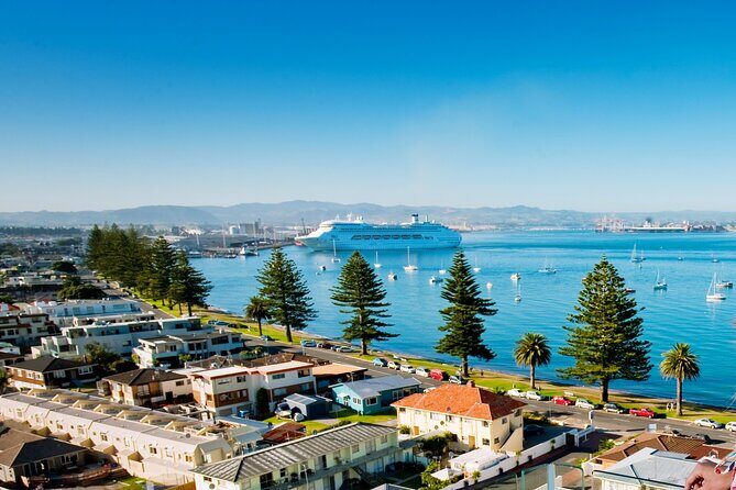 Tauranga Shore Excursion: Small-Group Bay of Plenty and Tauranga Tour - A Detailed Look at the Tauranga Shore Excursion