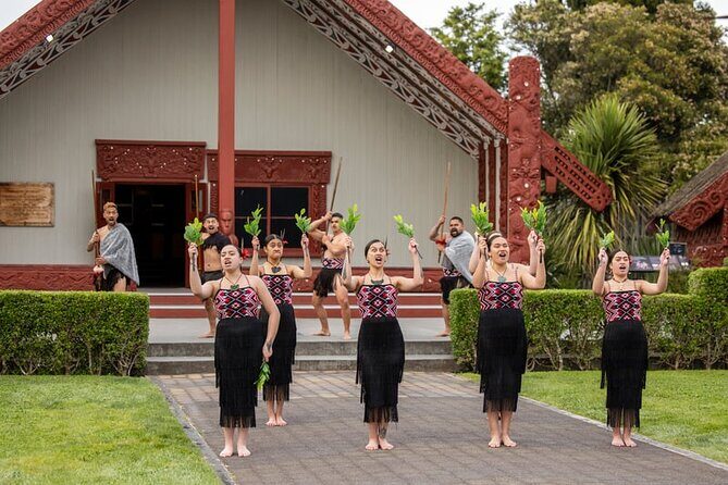 Tauranga Shore Excursion Te Puia Rotorua - What Travelers Are Saying (Based on Reviews)