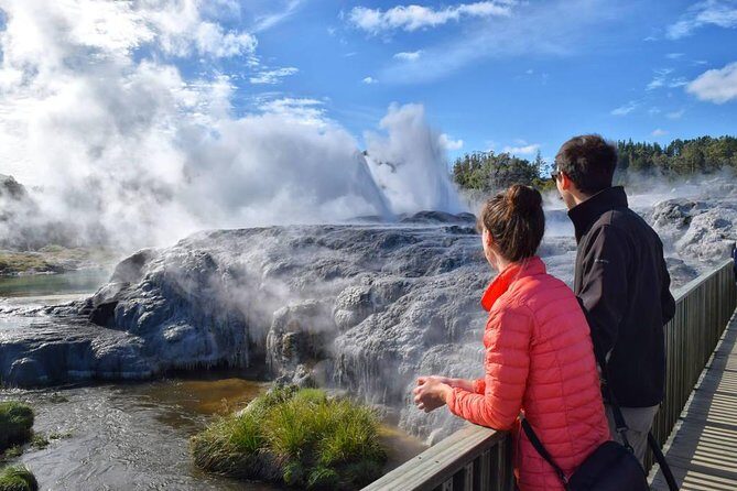 Tauranga to Rotorua. "Te Puia" Geysers. Private Shore Excursion - Practical Tips for Your Day