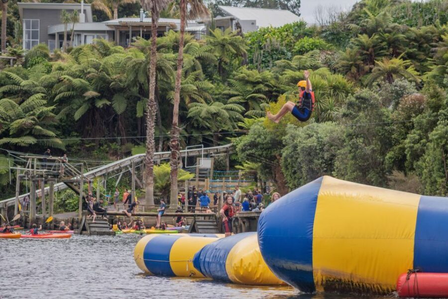 Tauranga: Waimarino Adventure Park Supreme Pass Entry Ticket - What to Expect at Waimarino Adventure Park