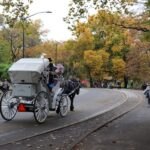 Tavern on the Green PickUp&DropOff With Horse Carriage Ride - Frequently Asked Questions
