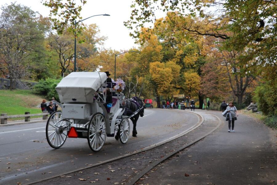Tavern on the Green PickUp&DropOff With Horse Carriage Ride - Frequently Asked Questions