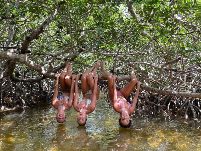 Tavernier, FL: Mangrove and Manatees Guided Kayak Eco Tour - The Sum Up