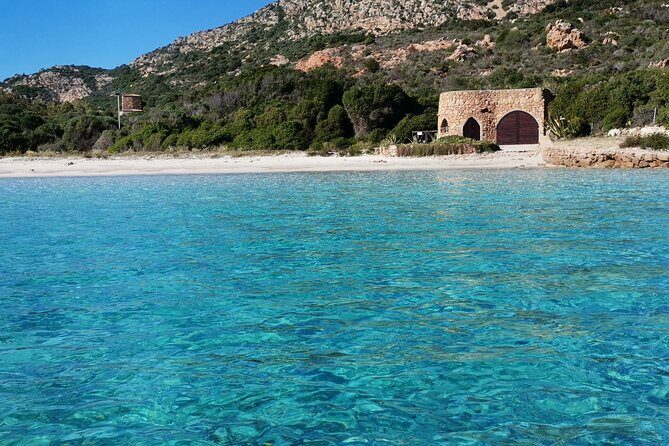Tavolara Marine Protected Area Tour (GROUP) - A Deep Dive into Your Sardinian Sea Adventure