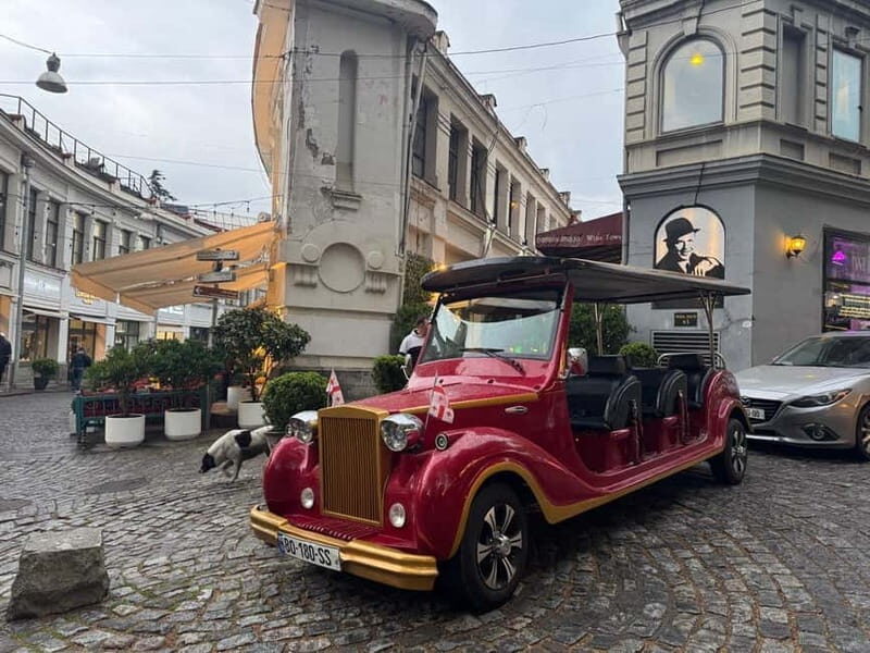 Tbilisi: 45-Minute City Tour by Retro Bus - A Closer Look at the Tbilisi Retro Bus Tour