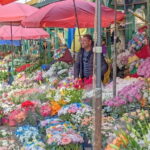 Tbilisi: Christmas Market & Hidden Gems Guided Walking Tour - In-Depth Look at the Itinerary