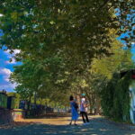 Tbilisi: Hidden Gems Walking Tour with Food & Wine Tastings - A Deep Dive into the Tbilisi Hidden Gems Tour